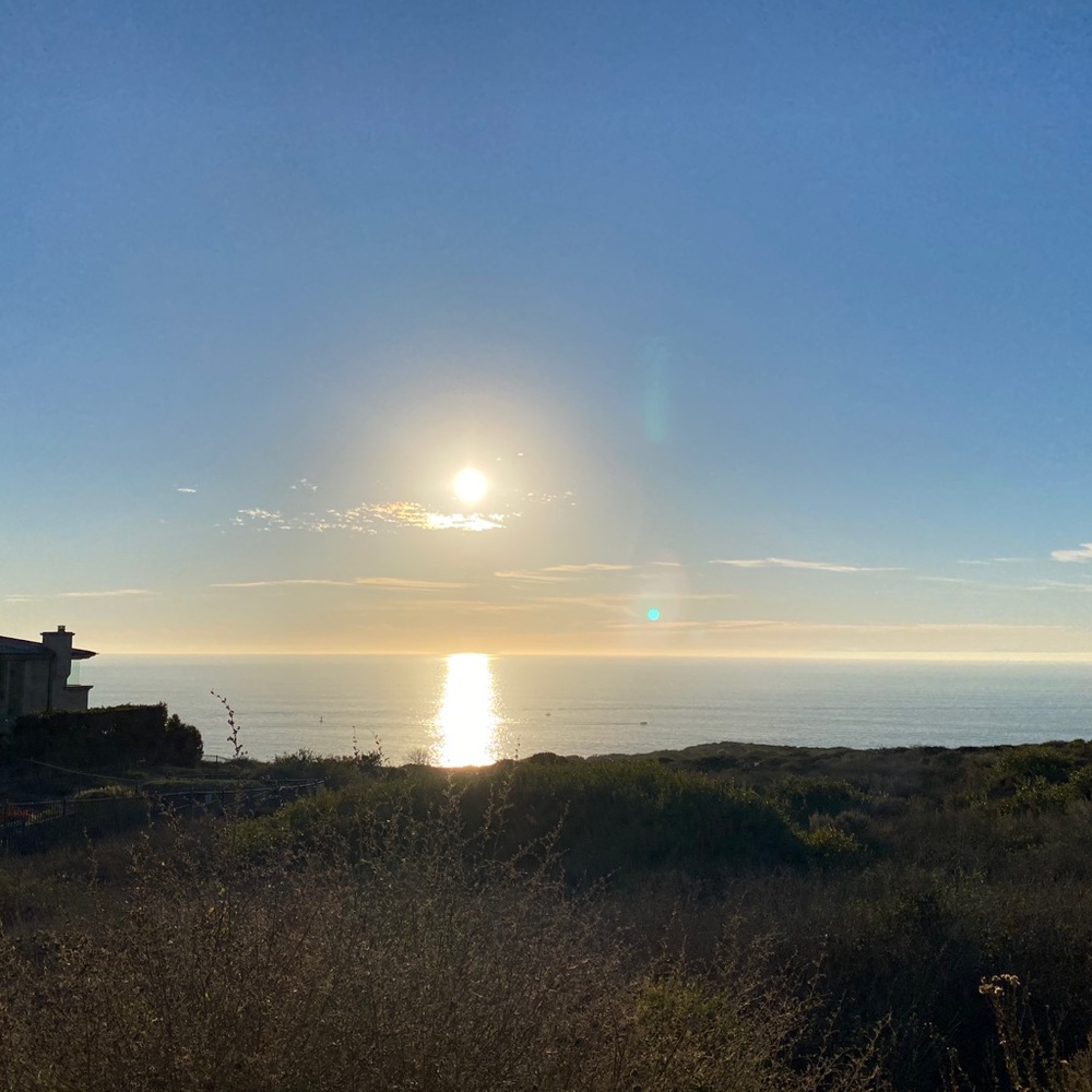 Meet your Posher, Annie